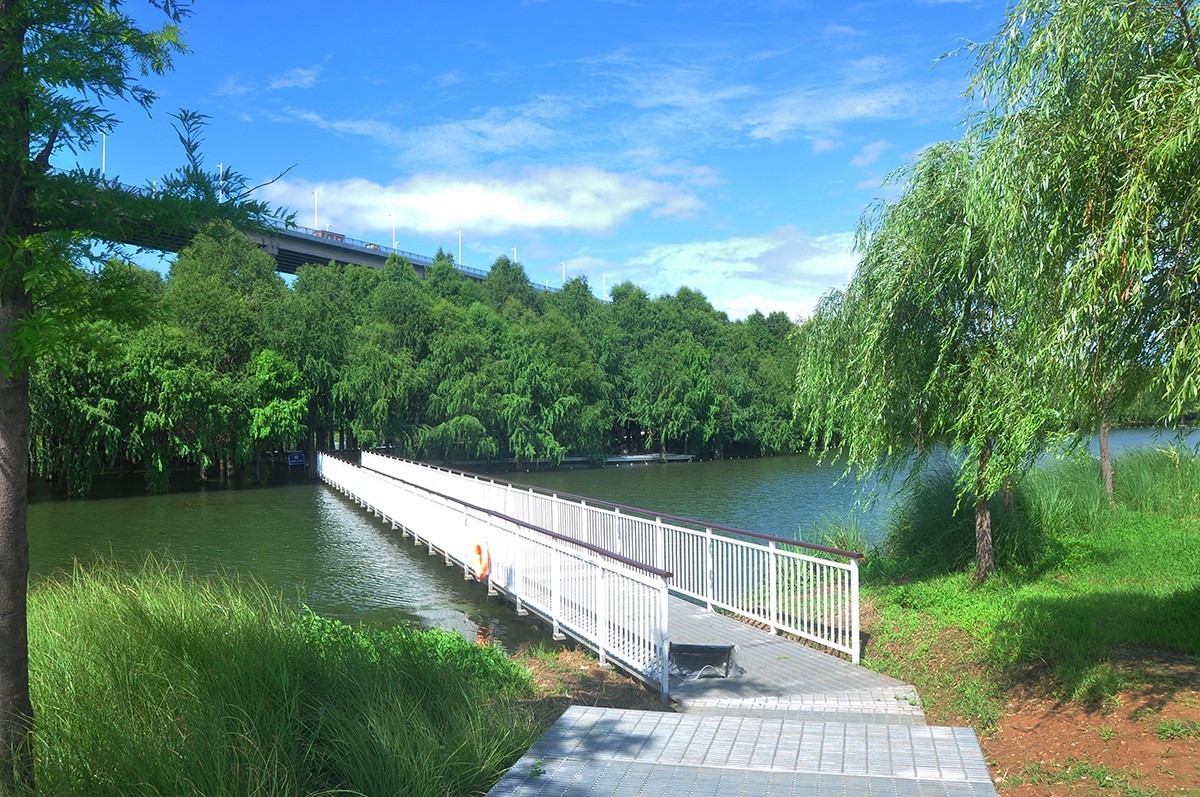 夏空流云（江东生态湿地公园）