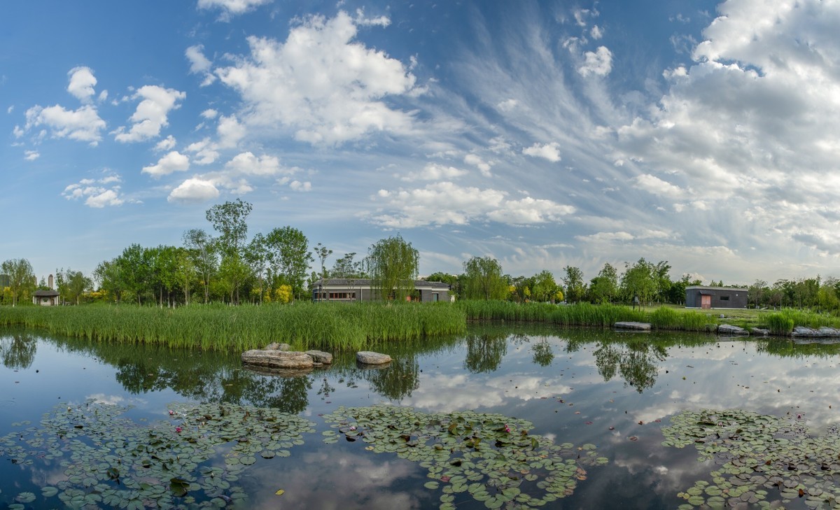初夏的天津水西公园