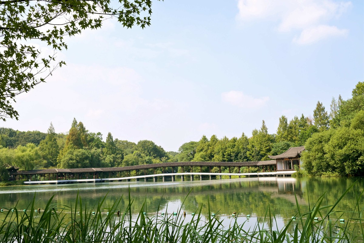 西湖边浴鹄湾漫步—尼康Z5+40f2饼干头直出