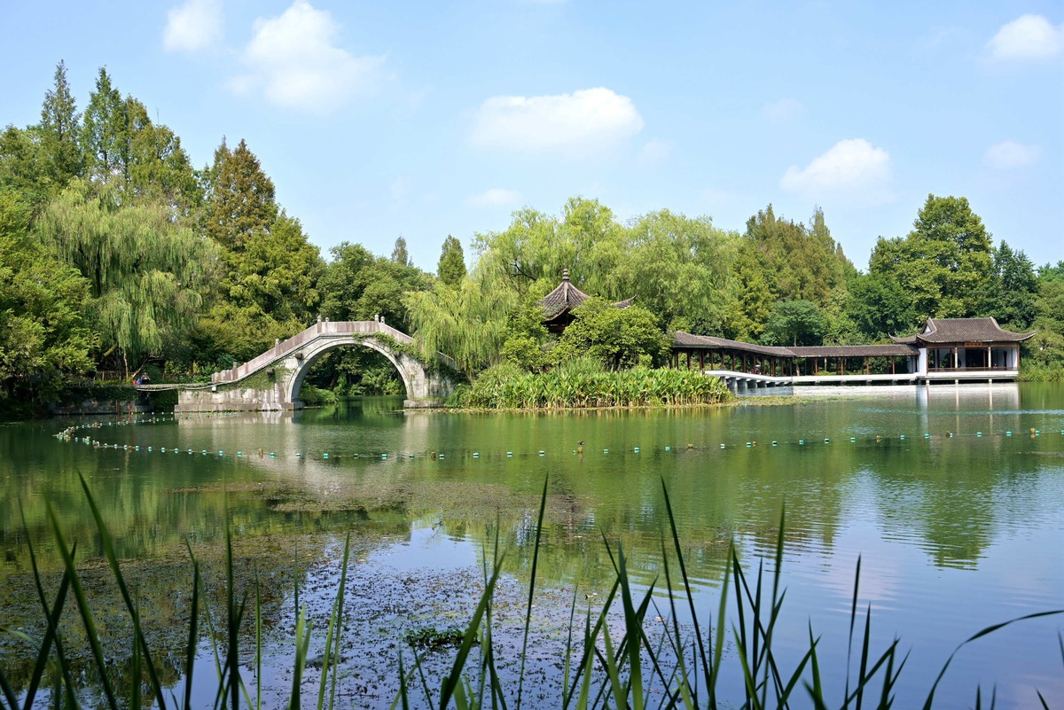 西湖边浴鹄湾漫步—尼康Z5+40f2饼干头直出