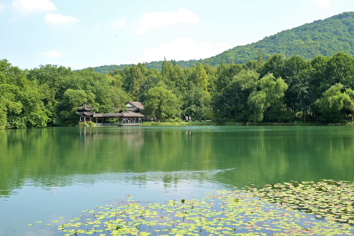 西湖边浴鹄湾漫步—尼康Z5+40f2饼干头直出