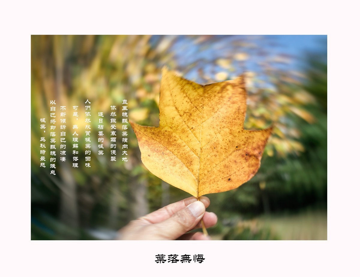 小区拍照遛狗