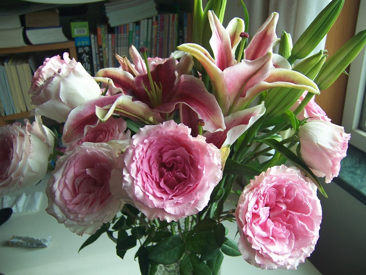 〈国产卡片机发挥余热〉