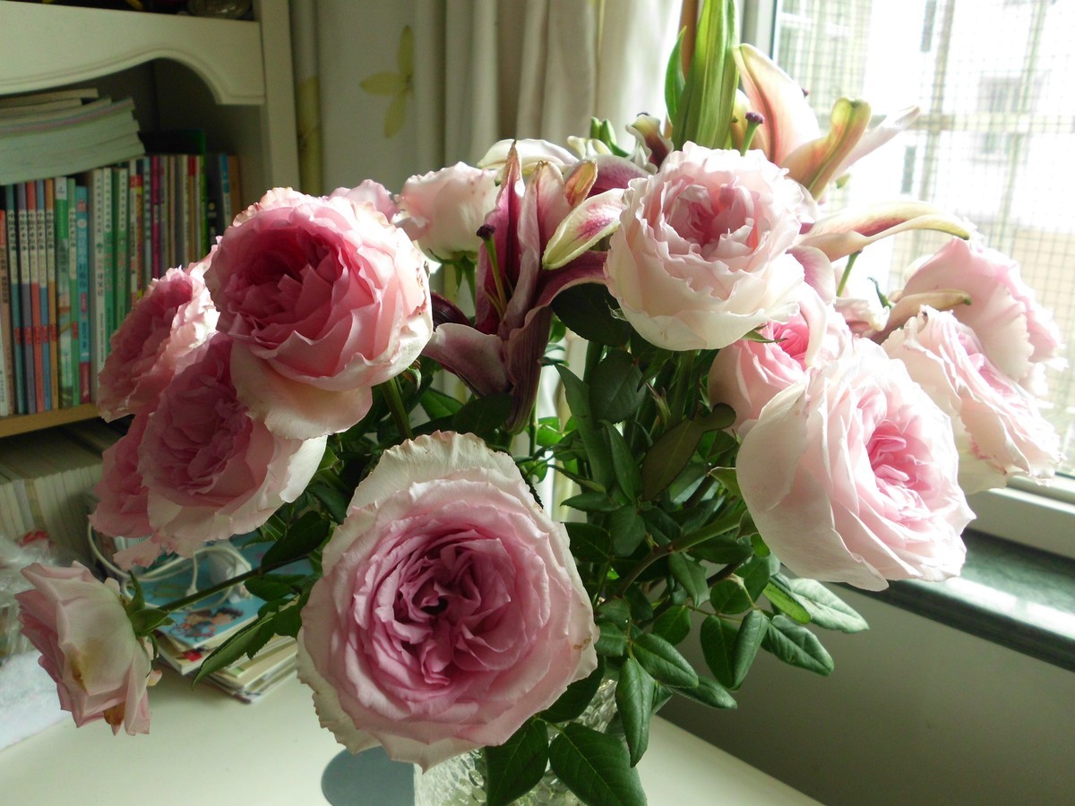 〈国产卡片机发挥余热〉