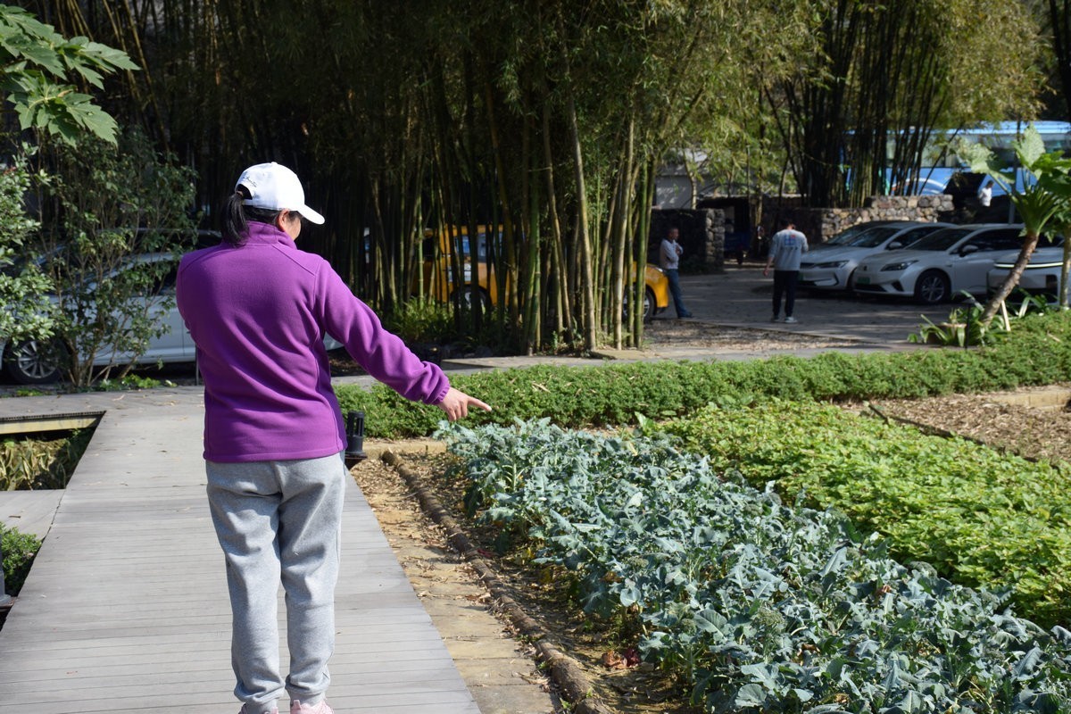 2024春节 滇桂沿边行（64）明仕村地板屯