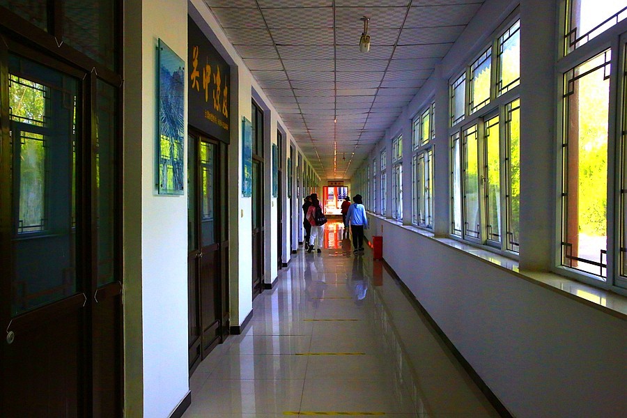 《不老松：纪实摄影》【大好河山系列报導】媧皇宫 (4)不一般的索道！