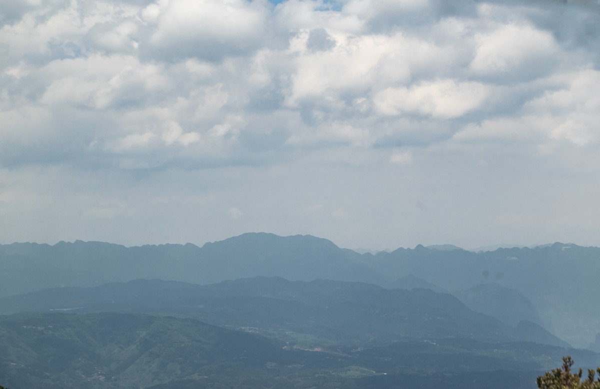 再游贵州之乌蒙山草原