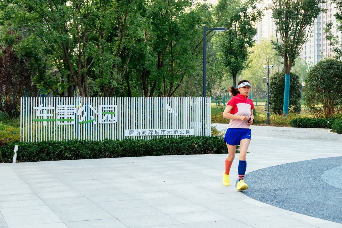 陕西渭南：森林绿化郁郁葱葱 宜居宜游新渭南欢迎您