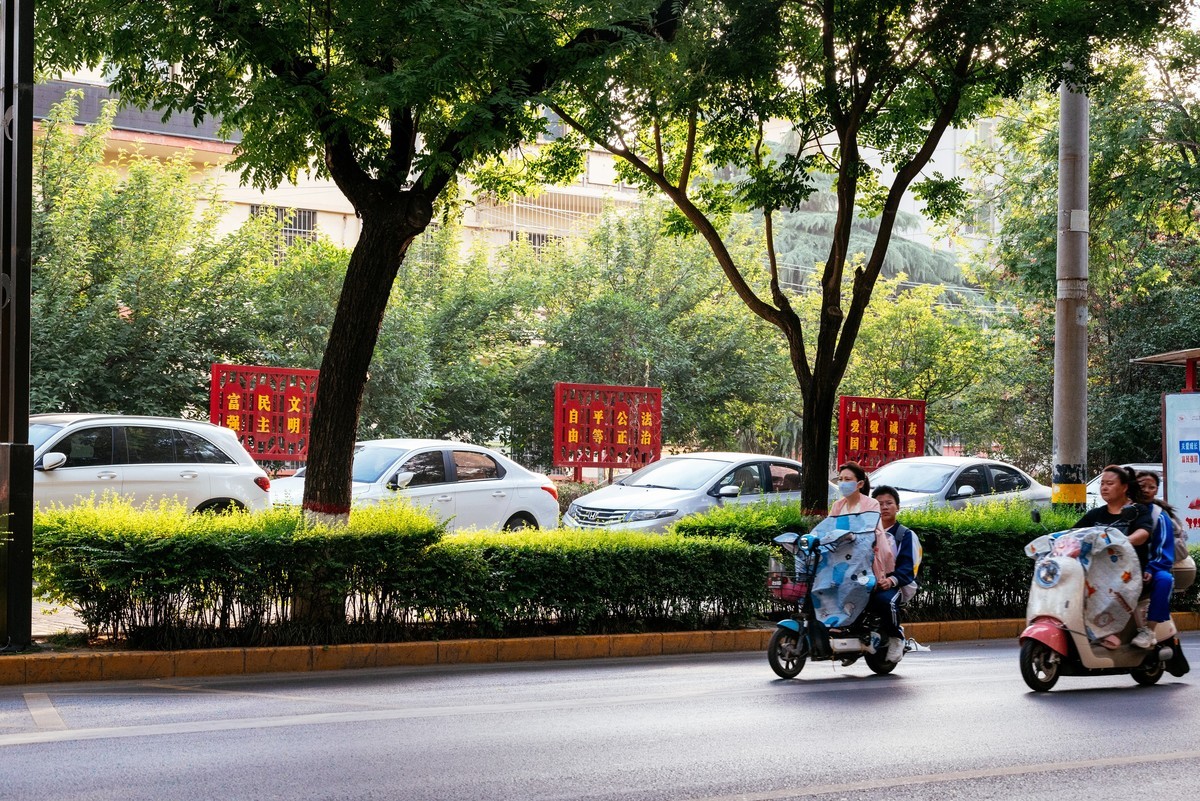 陕西渭南：森林绿化郁郁葱葱 宜居宜游新渭南欢迎您