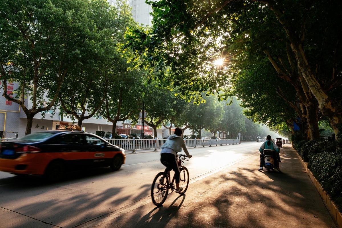 陕西渭南：森林绿化郁郁葱葱 宜居宜游新渭南欢迎您