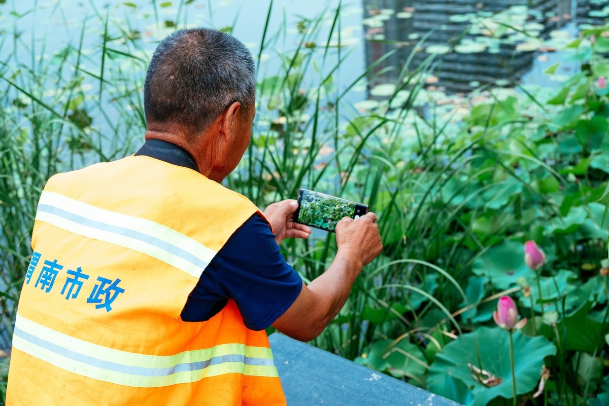 陕西渭南：森林绿化郁郁葱葱 宜居宜游新渭南欢迎您