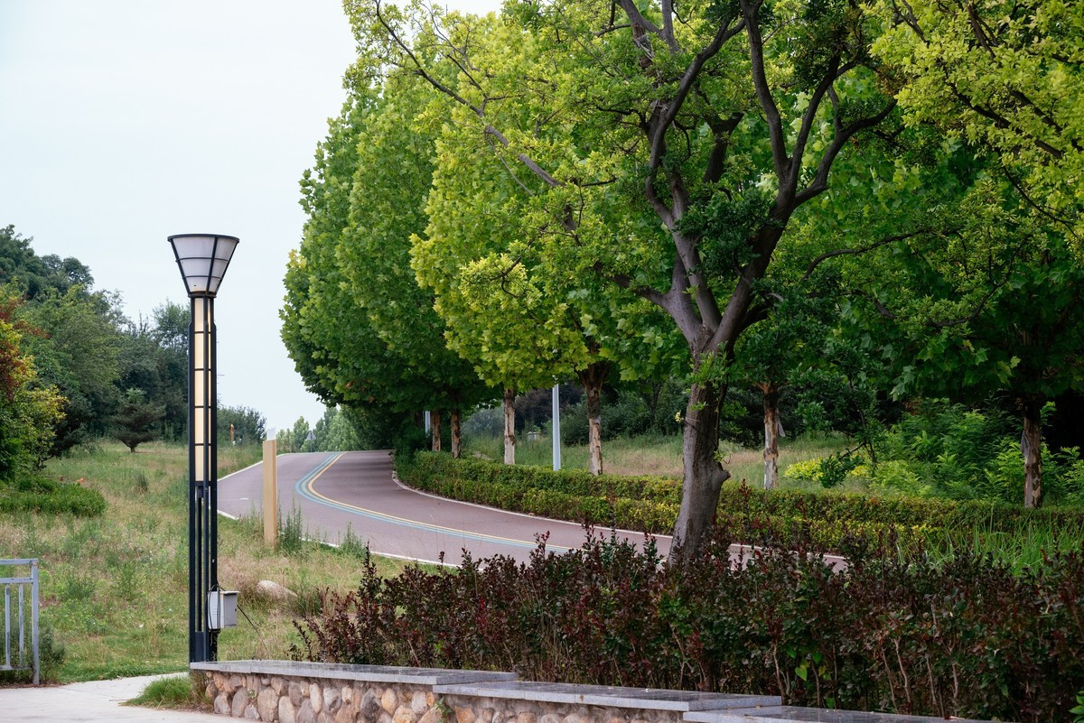 陕西渭南：森林绿化郁郁葱葱 宜居宜游新渭南欢迎您