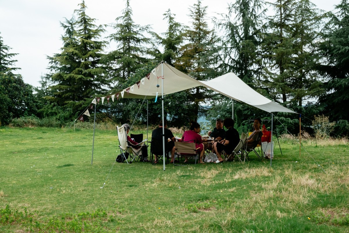 陕西渭南：森林绿化郁郁葱葱 宜居宜游新渭南欢迎您