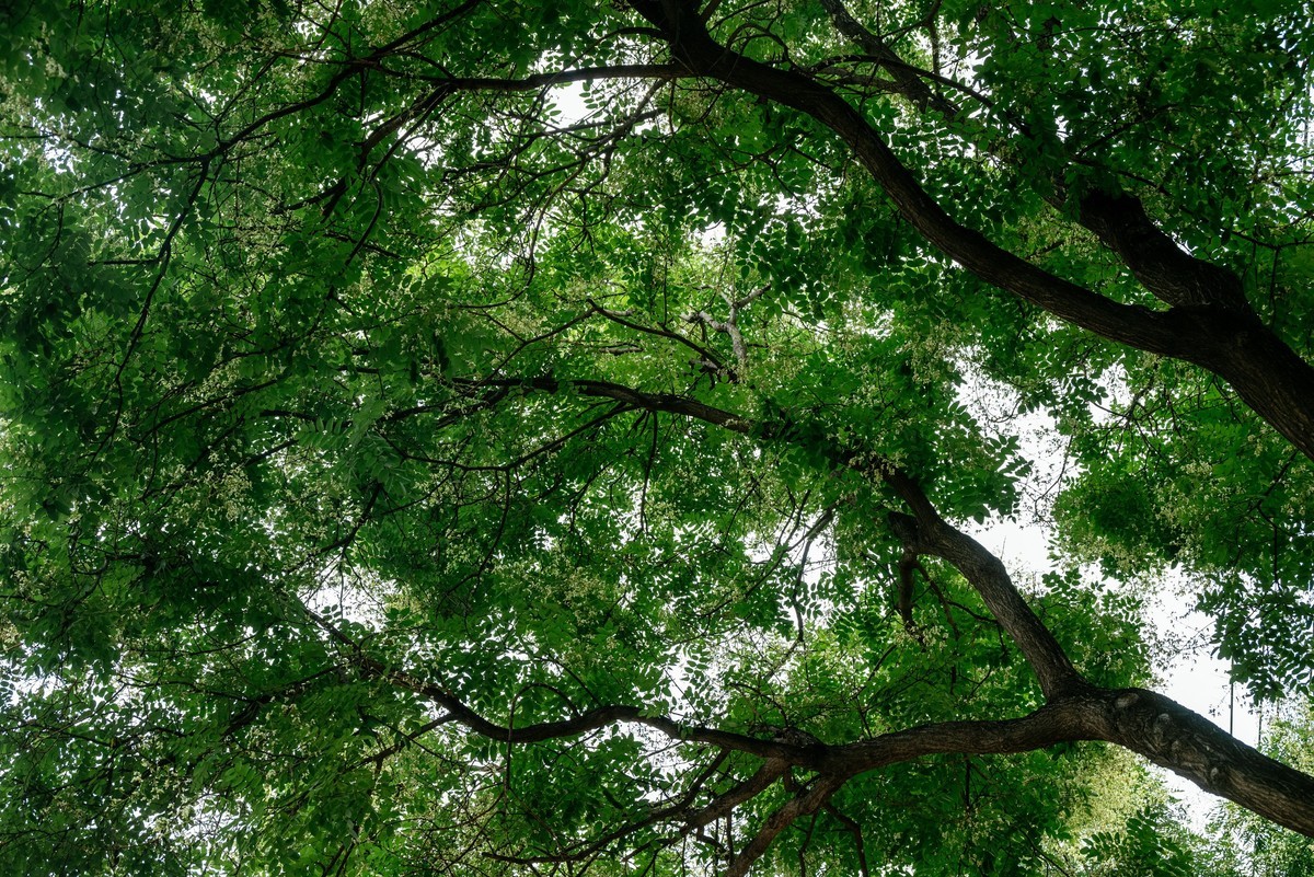 陕西渭南：森林绿化郁郁葱葱 宜居宜游新渭南欢迎您