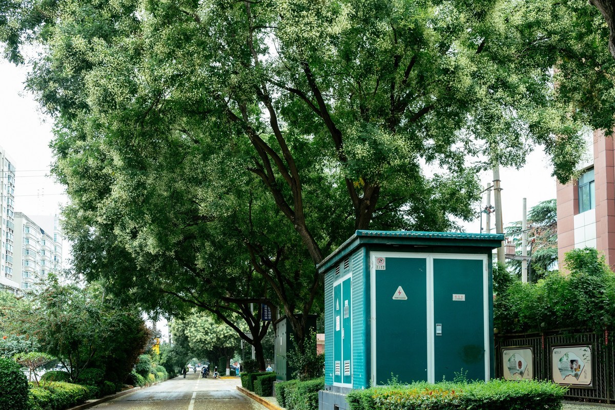 陕西渭南：森林绿化郁郁葱葱 宜居宜游新渭南欢迎您