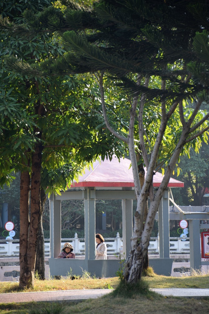 2024春节 滇桂沿边行（90）富宁有着烟火气