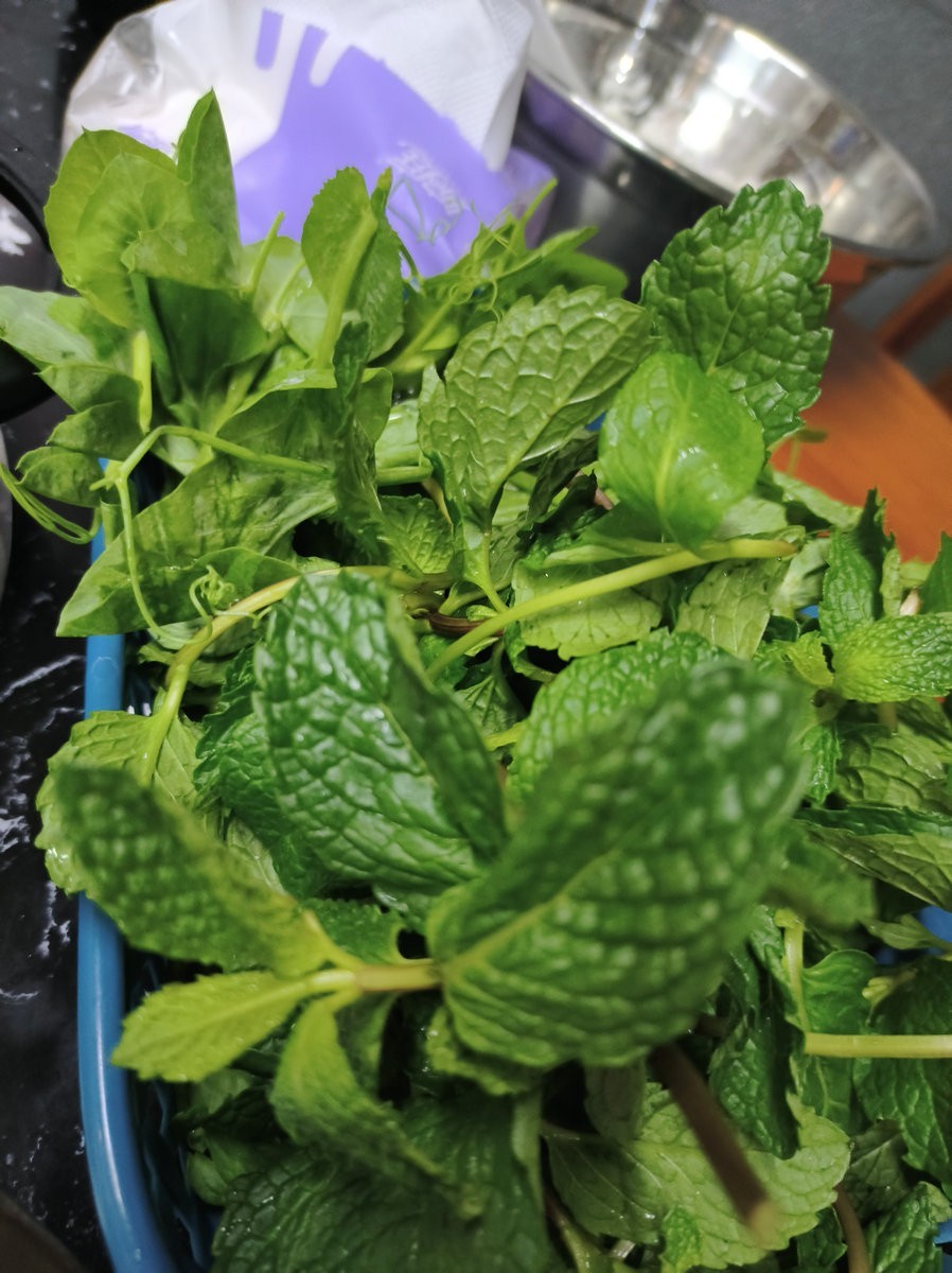 2024春节 滇桂沿边行（90）富宁有着烟火气