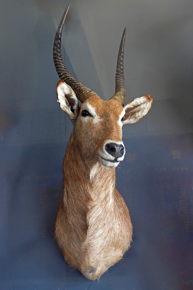 探索自然奥秘——观陕西自然博物馆