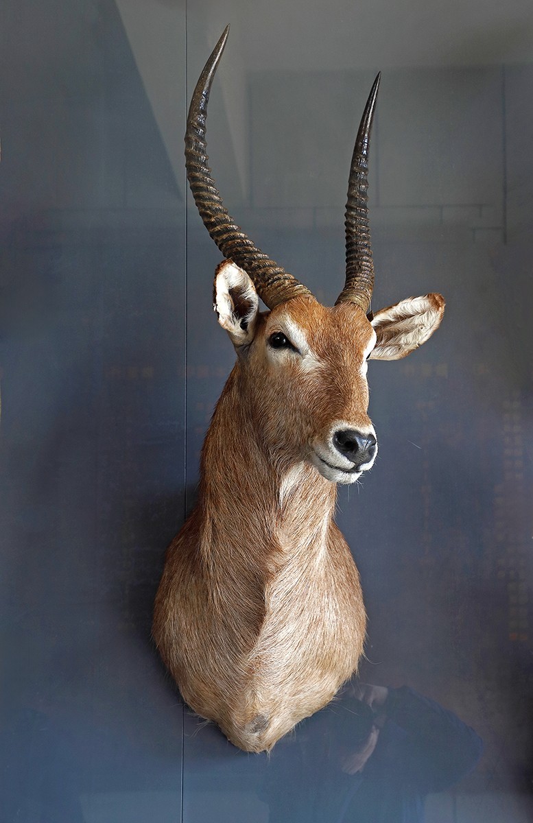 探索自然奥秘——观陕西自然博物馆