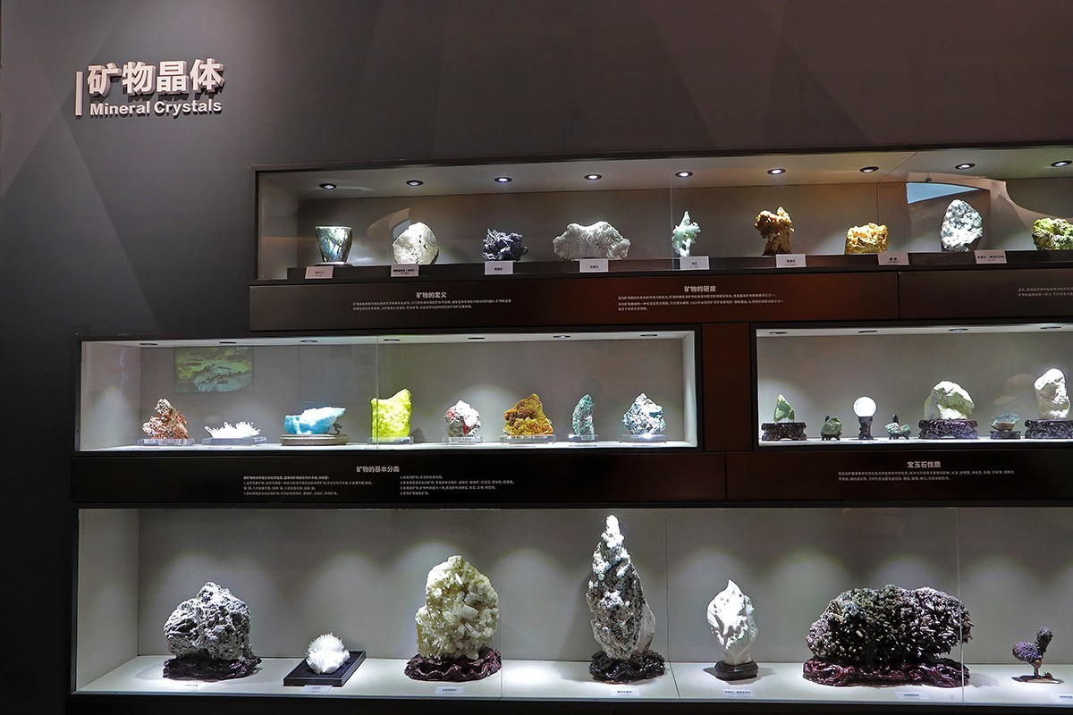探索自然奥秘——观陕西自然博物馆