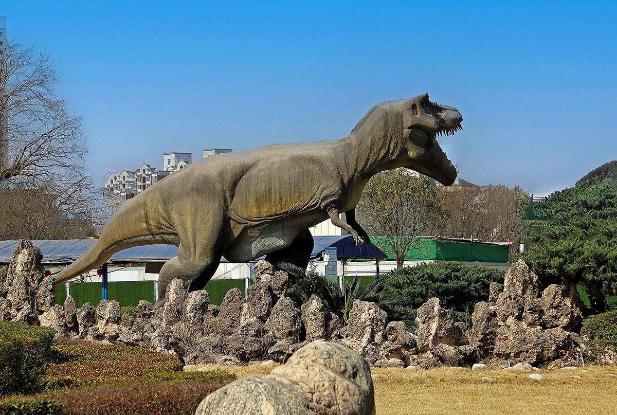 探索自然奥秘——观陕西自然博物馆