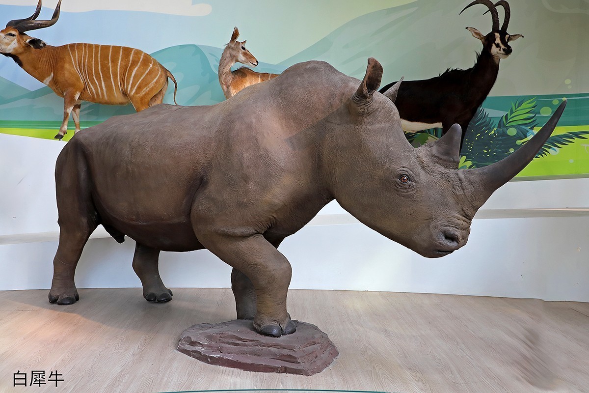 探索自然奥秘——观陕西自然博物馆