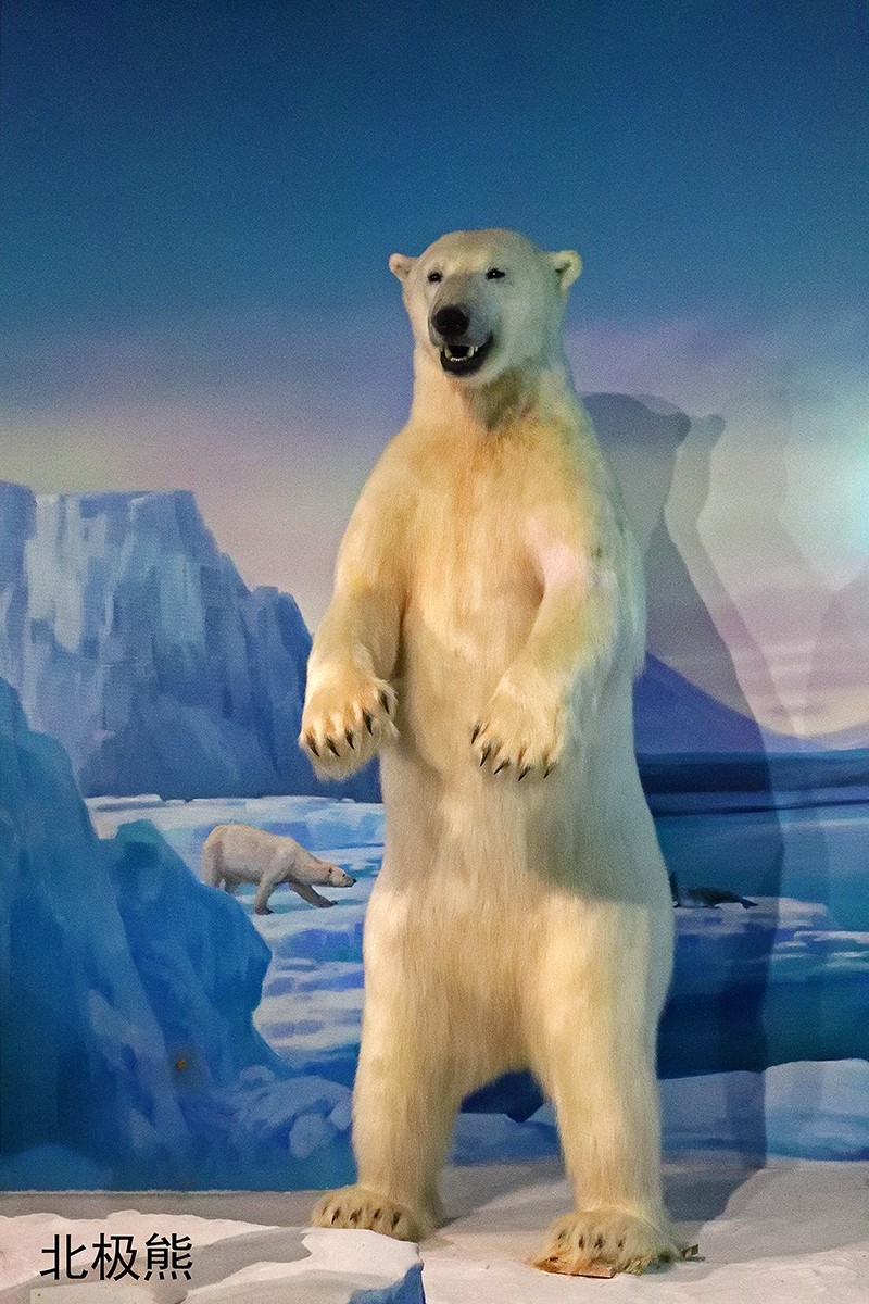 探索自然奥秘——观陕西自然博物馆