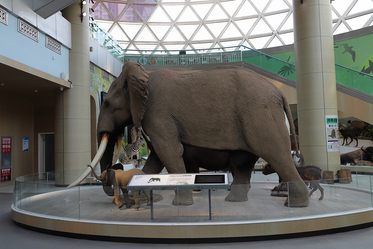 探索自然奥秘——观陕西自然博物馆