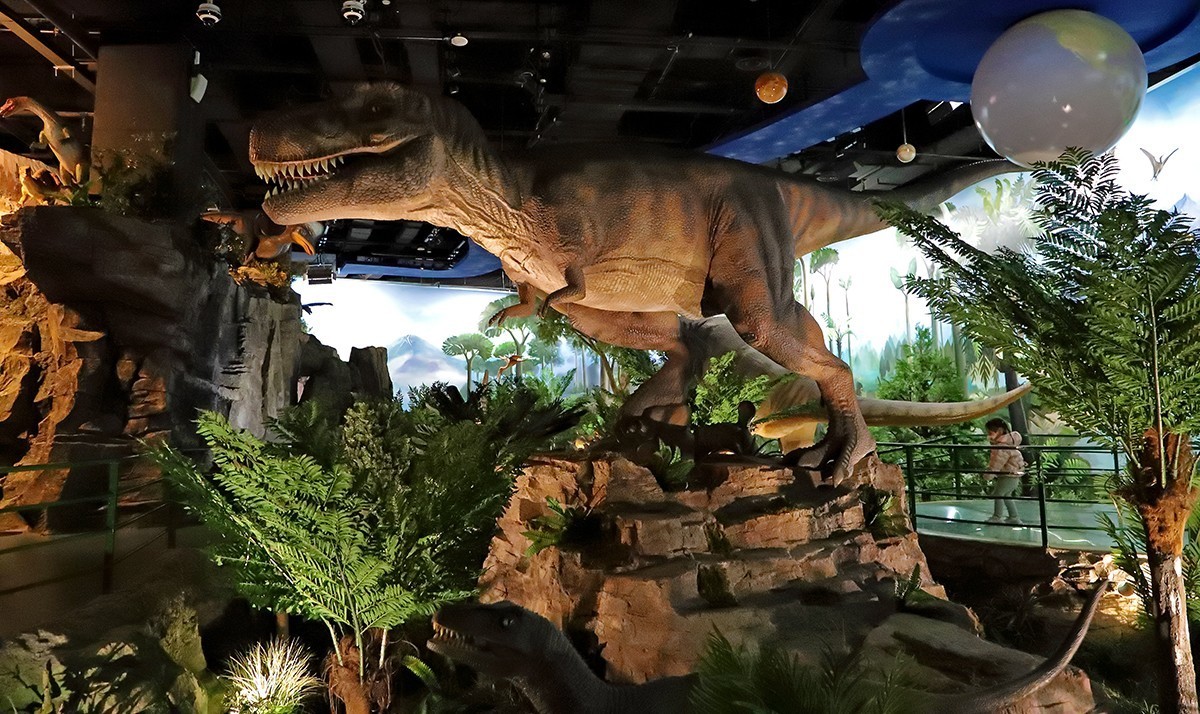 探索自然奥秘——观陕西自然博物馆