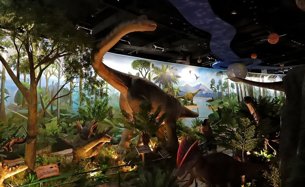 探索自然奥秘——观陕西自然博物馆