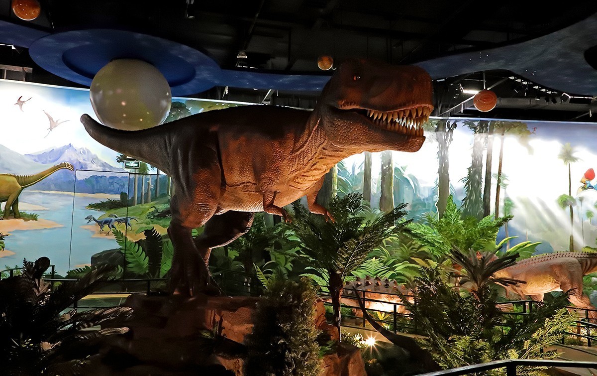 探索自然奥秘——观陕西自然博物馆