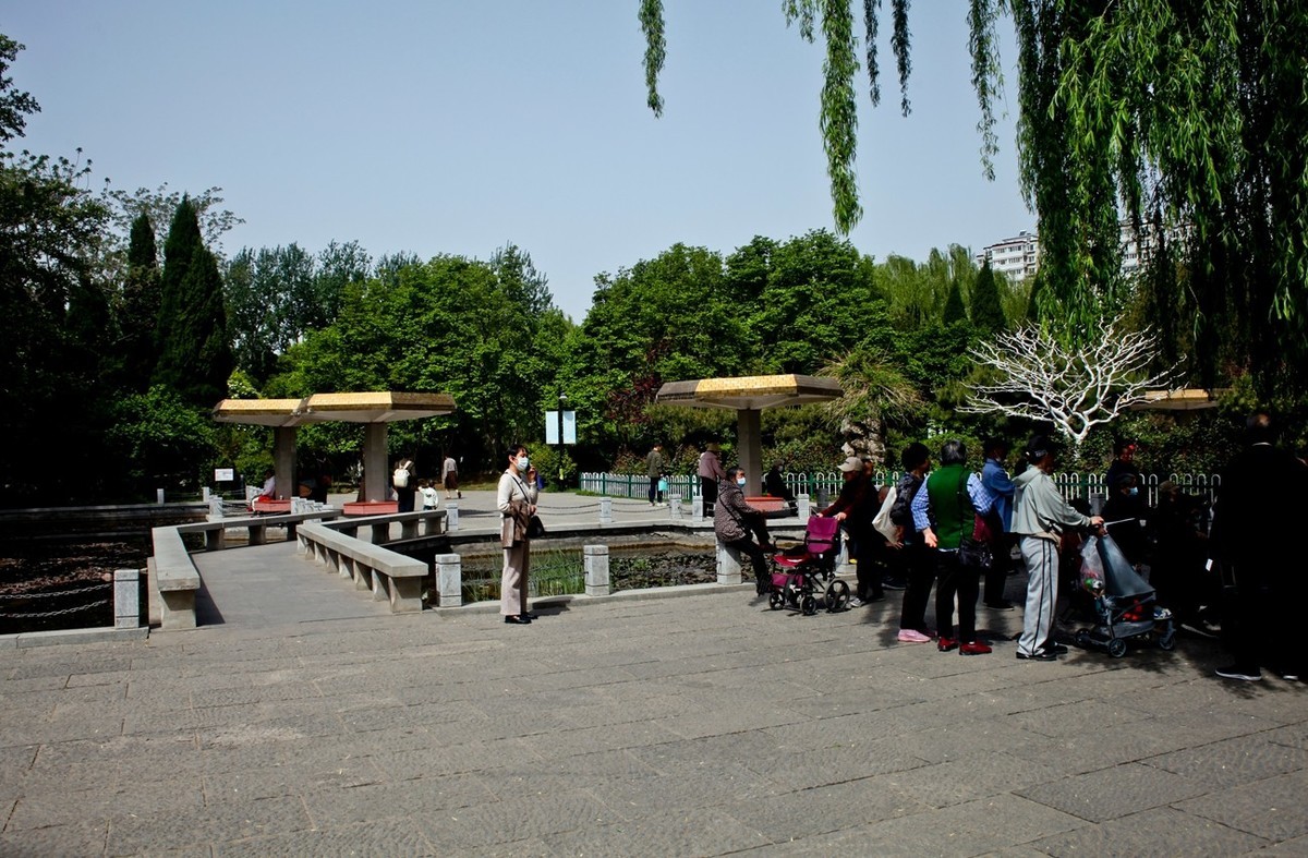 春天里——公园杂拍（三）