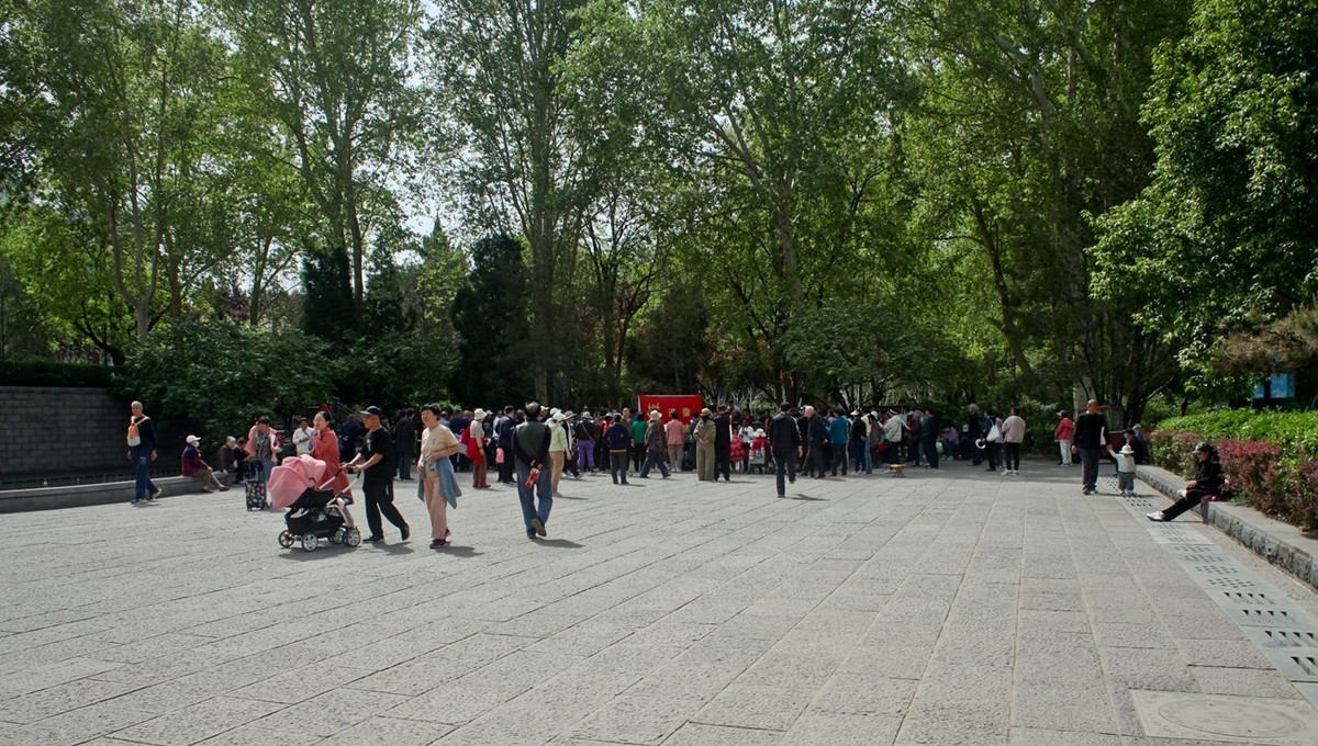 春天里——公园杂拍（三）