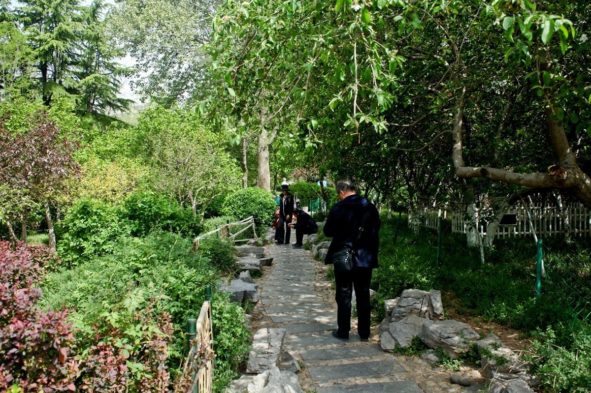 春天里——公园杂拍（三）