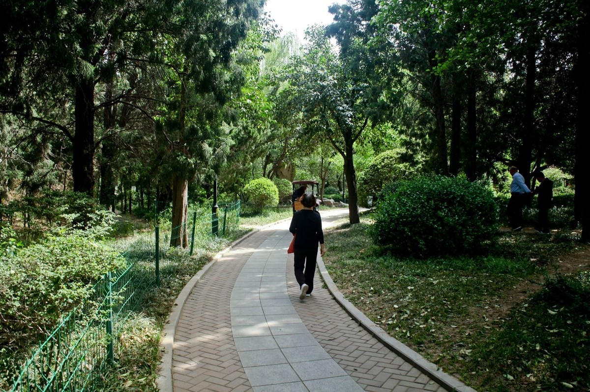 春天里——公园杂拍（三）