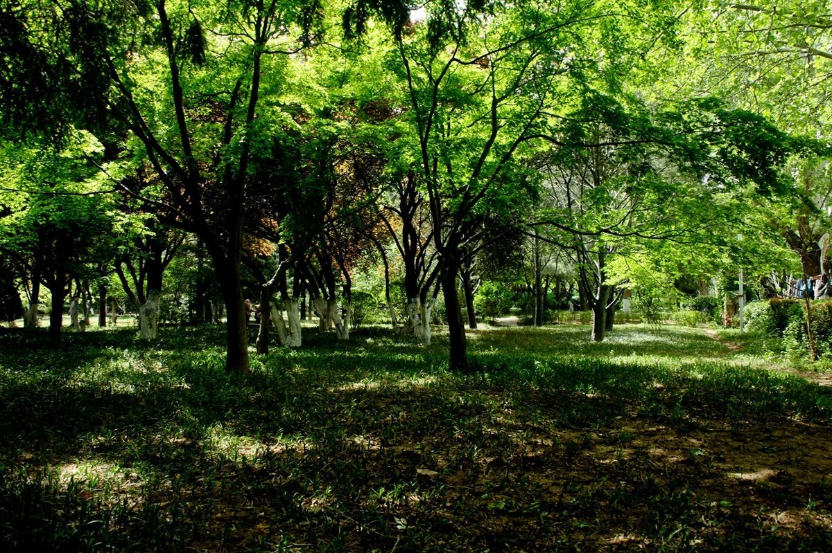 春天里——公园杂拍（三）