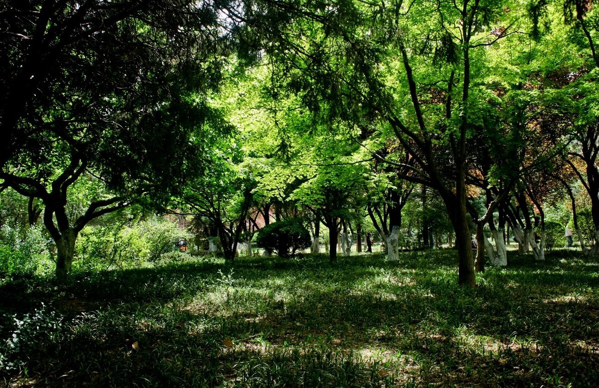 春天里——公园杂拍（三）