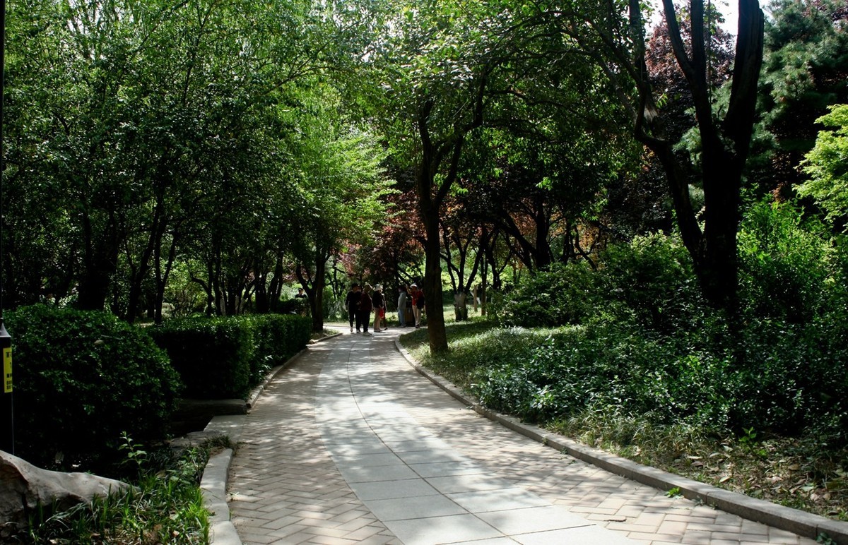 春天里——公园杂拍（三）