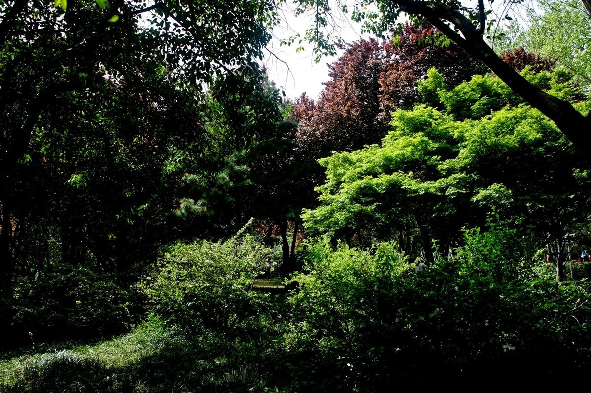 春天里——公园杂拍（三）