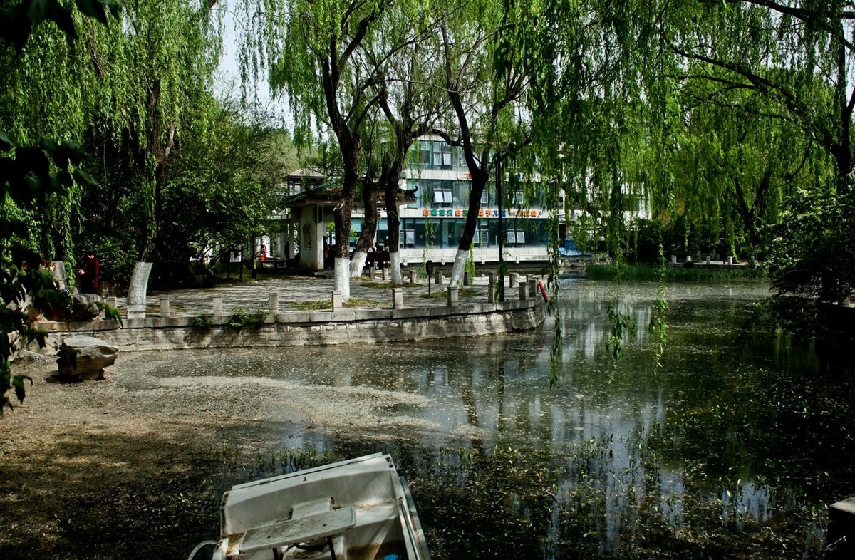 春天里——公园杂拍（三）