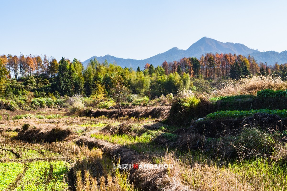 皖南秋色（14）