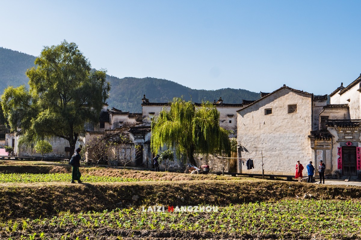 皖南秋色（14）