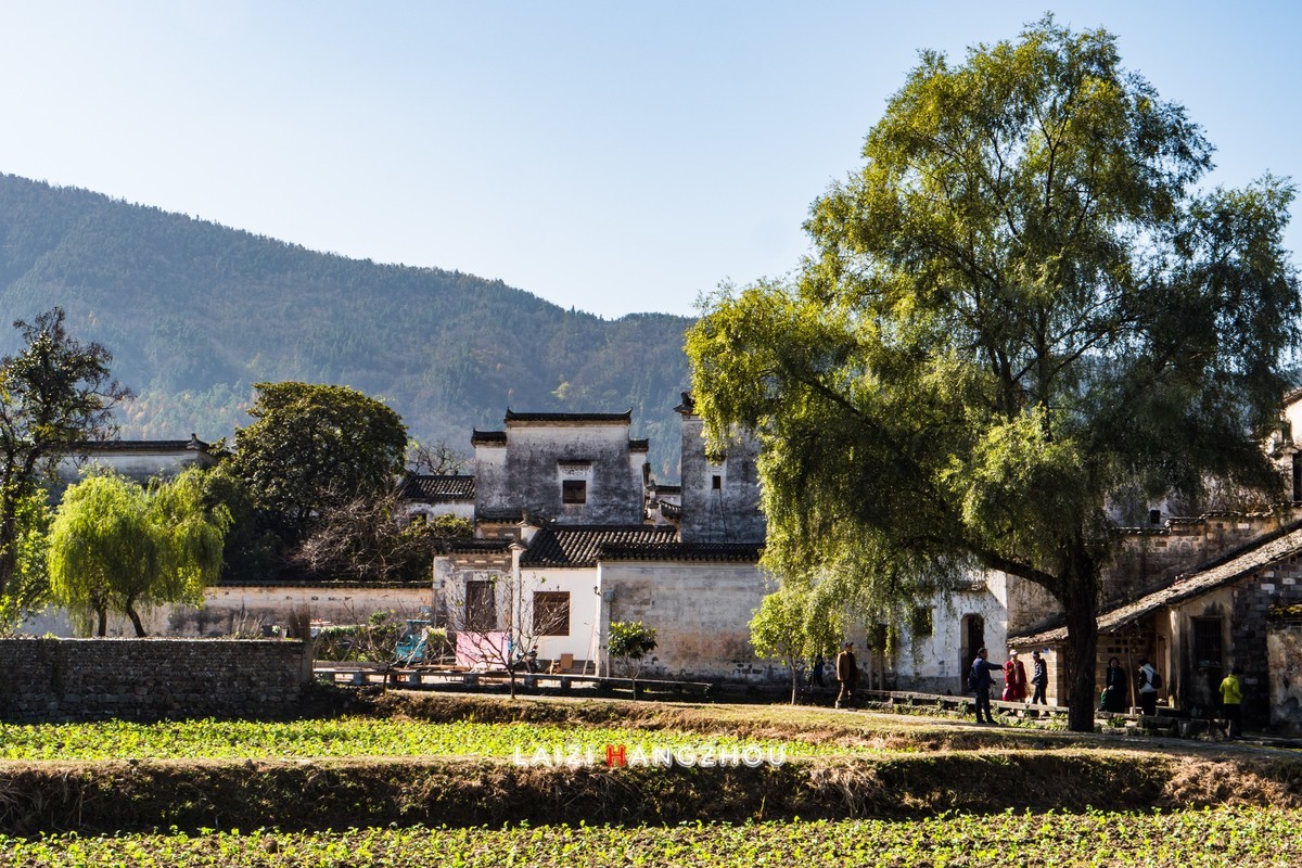 皖南秋色（14）