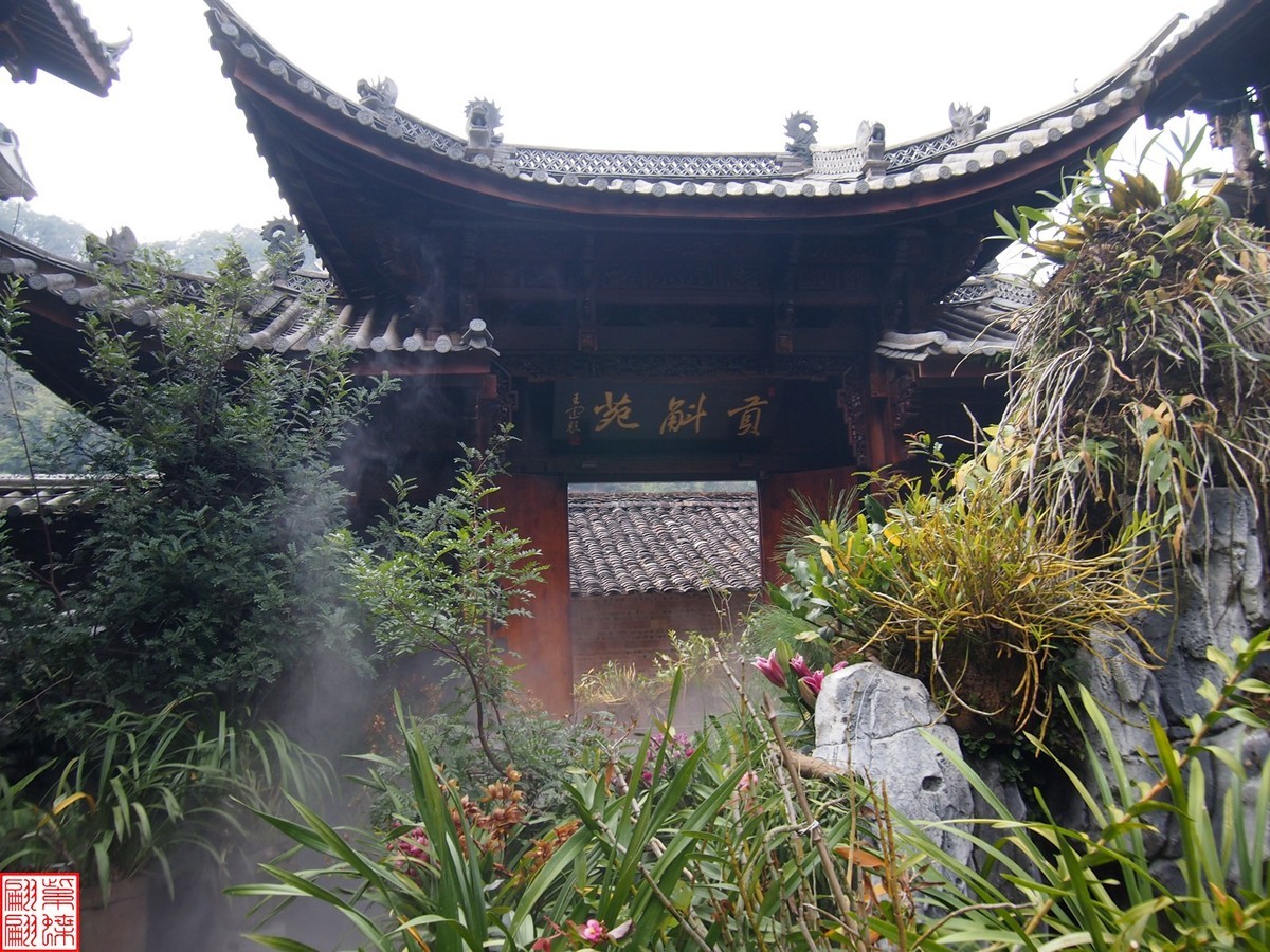 2023.12.21仙草秘境(9）