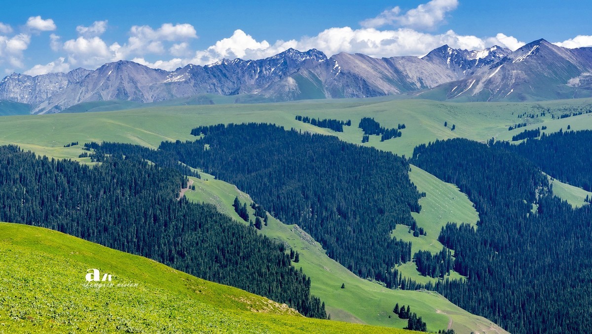 喀拉峻草原（1）