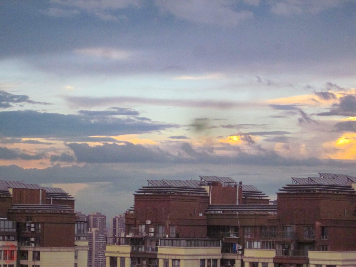 CCD为什么突然火了对比看看