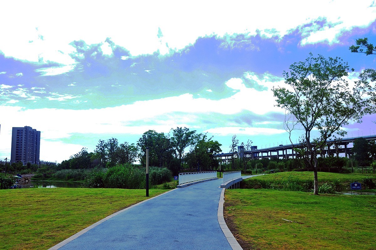 夏空流云（江东生态湿地公园）