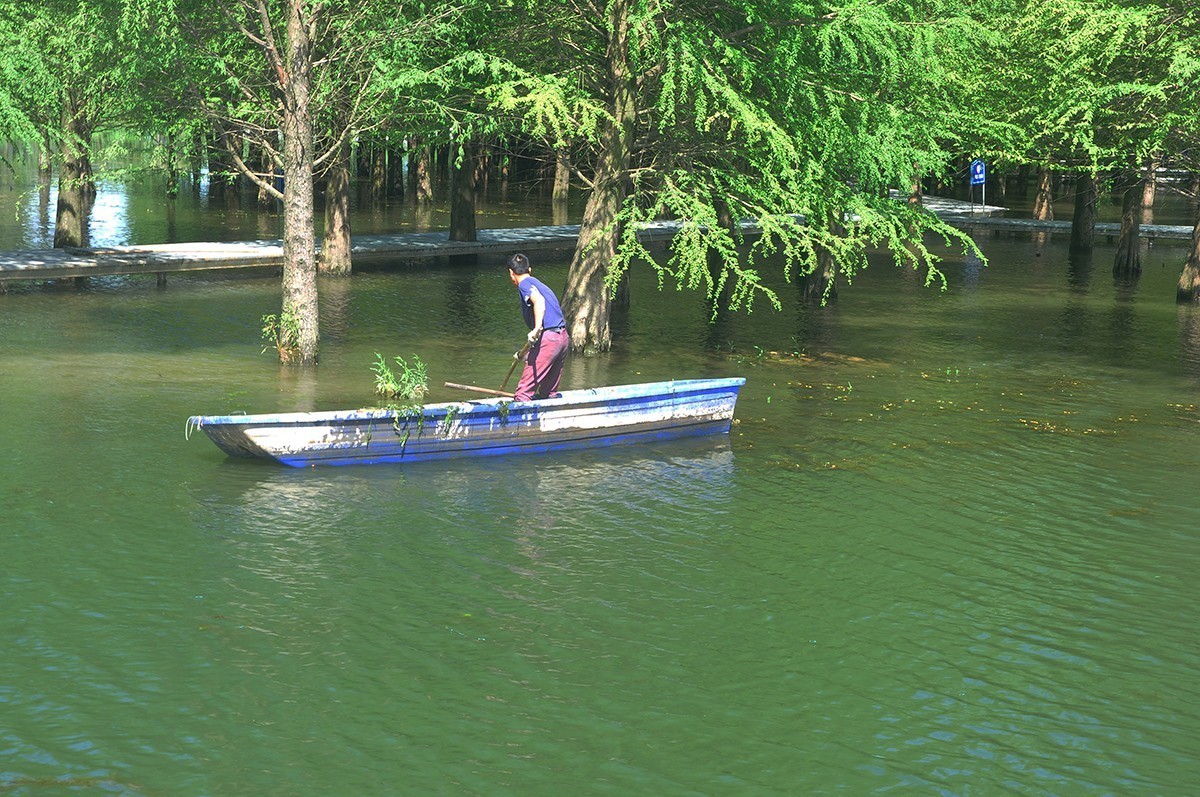 夏空流云（江东生态湿地公园）