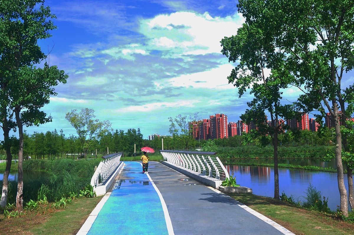 夏空流云（江东生态湿地公园）