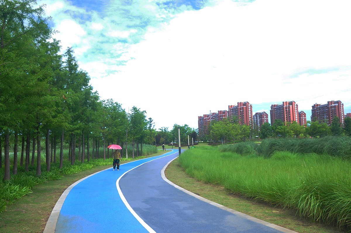 夏空流云（江东生态湿地公园）